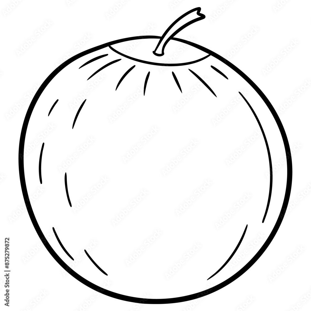 coconut outline coloring book page line art illustration digital drawing coconut outline coloring book page line art illustration digital drawing