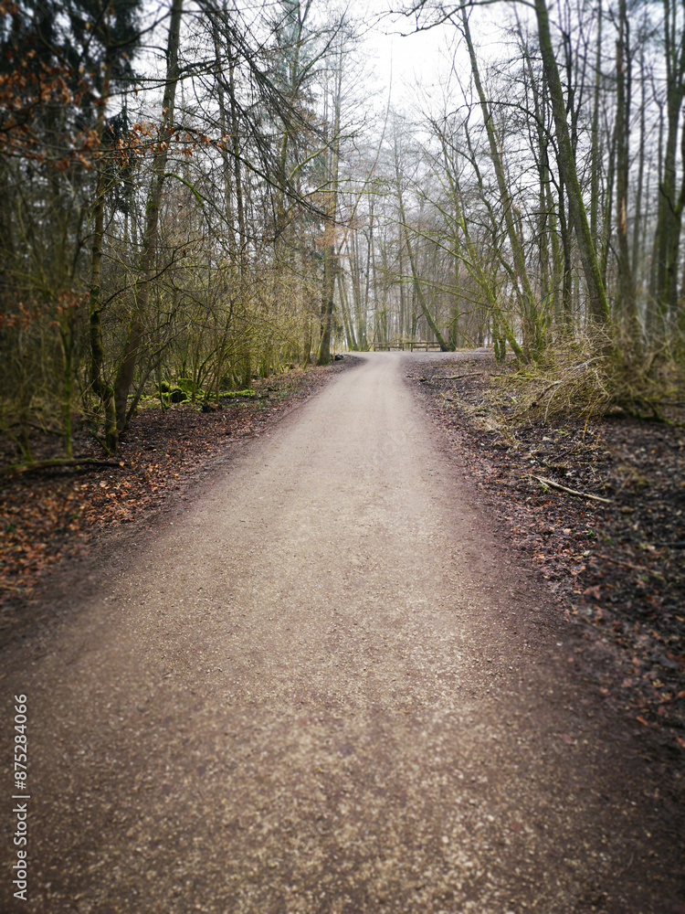 Naklejka premium Road in autumn forest. Path in the park. Beautiful nature view