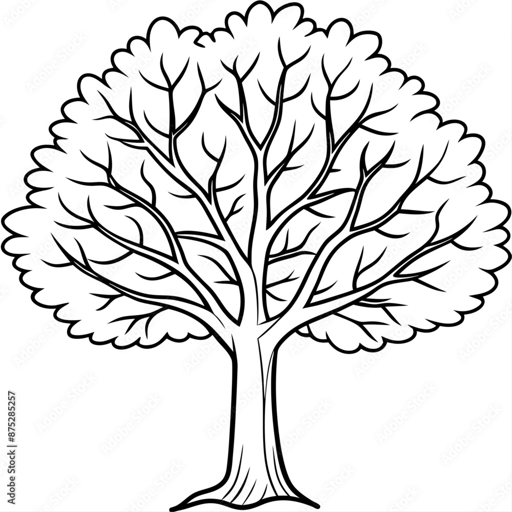fall tree outline coloring book page line art illustration digital drawing fall tree outline coloring book page line art illustration digital drawing