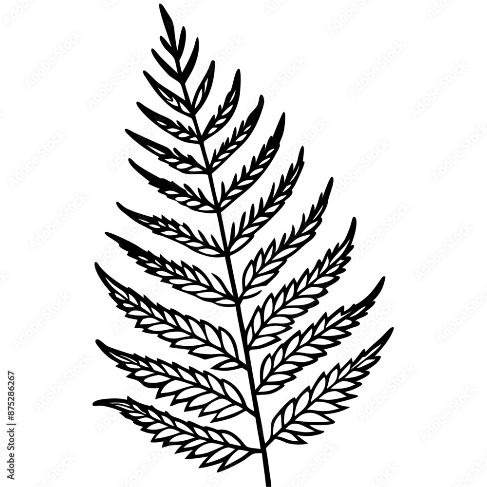 fern outline coloring book page line art illustration digital drawing fern outline coloring book page line art illustration digital drawing