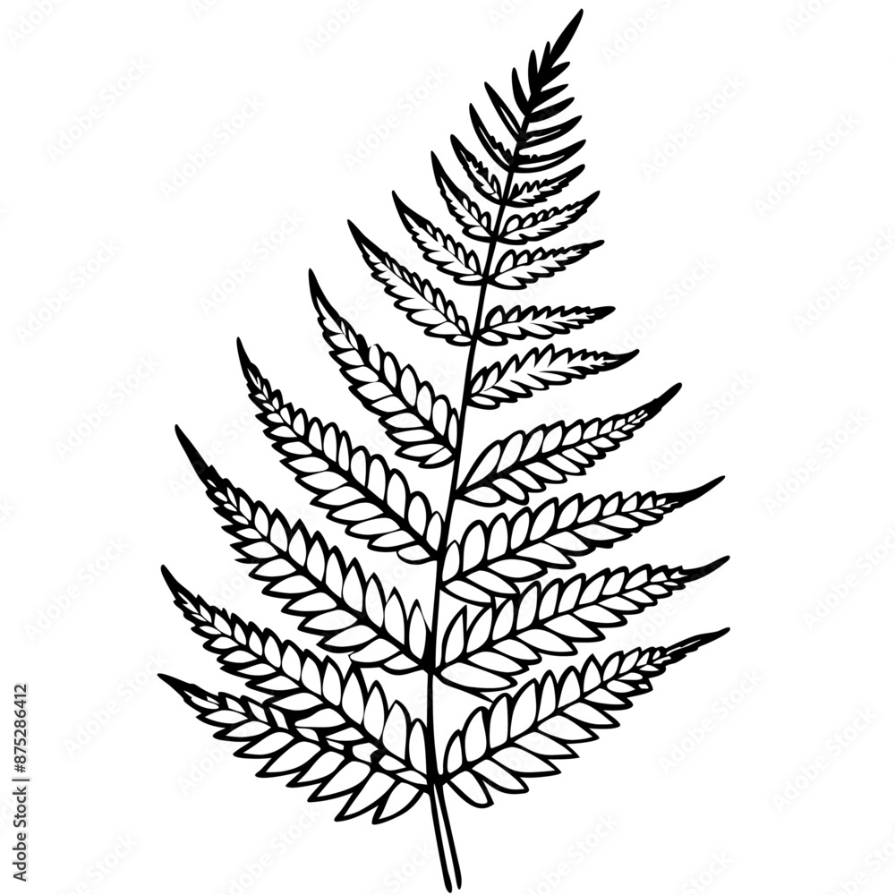 Naklejka premium fern outline coloring book page line art illustration digital drawing