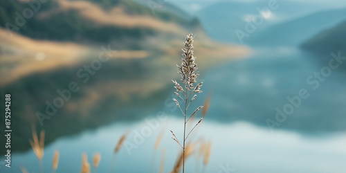 Close up of a single grass stem with blurred mountainous landscape and lake in the background, serene nature scene
