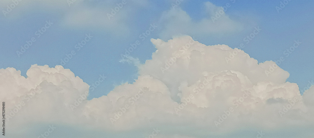 Fototapeta premium The sky is bright and beautiful blue and the clouds are white