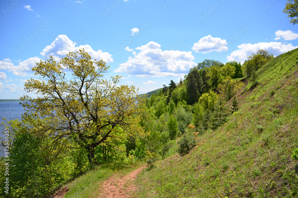a trail is going up a hill with a tree on it a trail is going up a hill with a tree on it