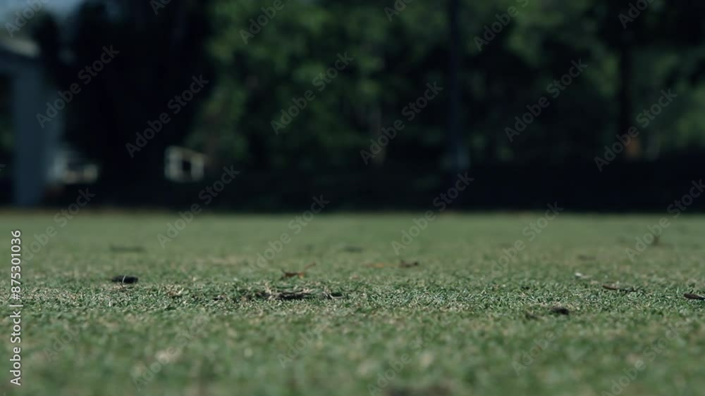 Golf ball is running and falling into the hole, close up. Full Hd 1920x1080 lockdown shot, tidewater green color variation. Golf ball is running and falling into the hole, close up. Full Hd 1920x1080 lockdown shot, tidewater green color variation.