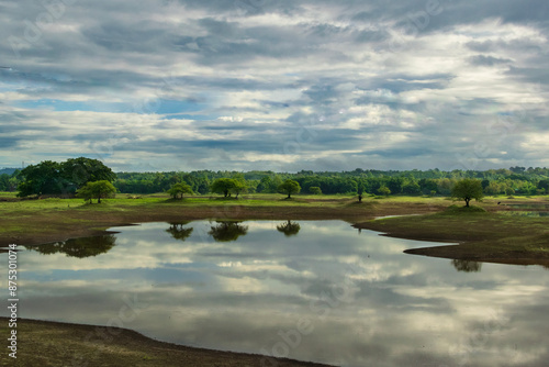 lake in the forest photo