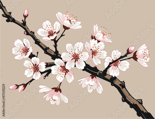 Delicate cherry blossoms in full bloom on branches against a soft teal background. Spring floral illustration, Japanese-inspired design.