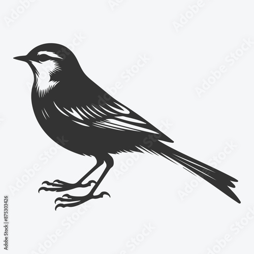 Captivating Wagtail Silhouette, Graceful Beauty in Nature's Dance