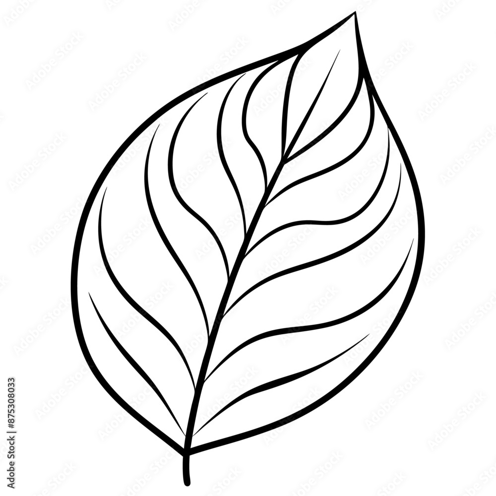 leaf outline coloring book page line art illustration digital drawing leaf outline coloring book page line art illustration digital drawing