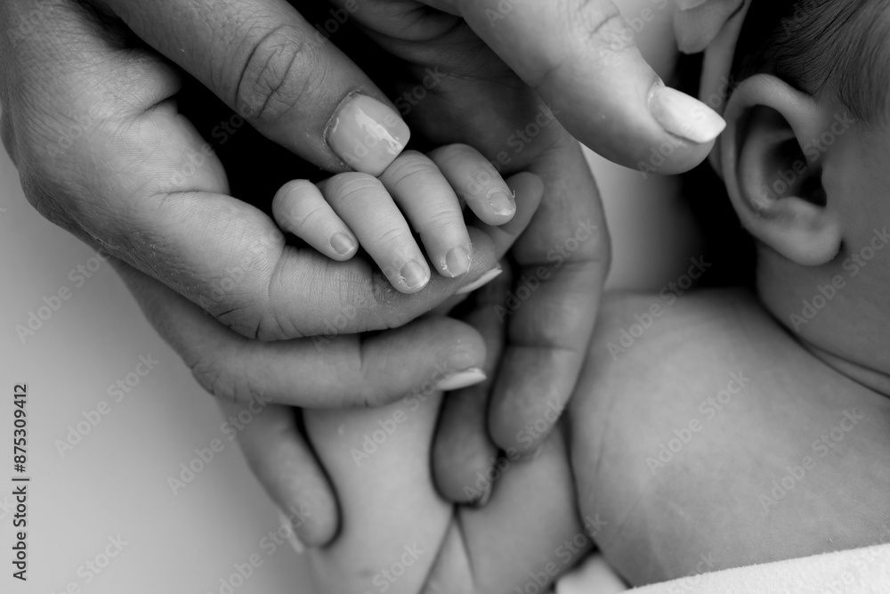 Small hand of a newborn baby with tiny fingers, head, nose and ear of a newborn. Palm hand of parents, father and mother of a newborn. Studio macro black and white photography. Small hand of a newborn baby with tiny fingers, head, nose and ear of a newborn. Palm hand of parents, father and mother of a newborn. Studio macro black and white photography.