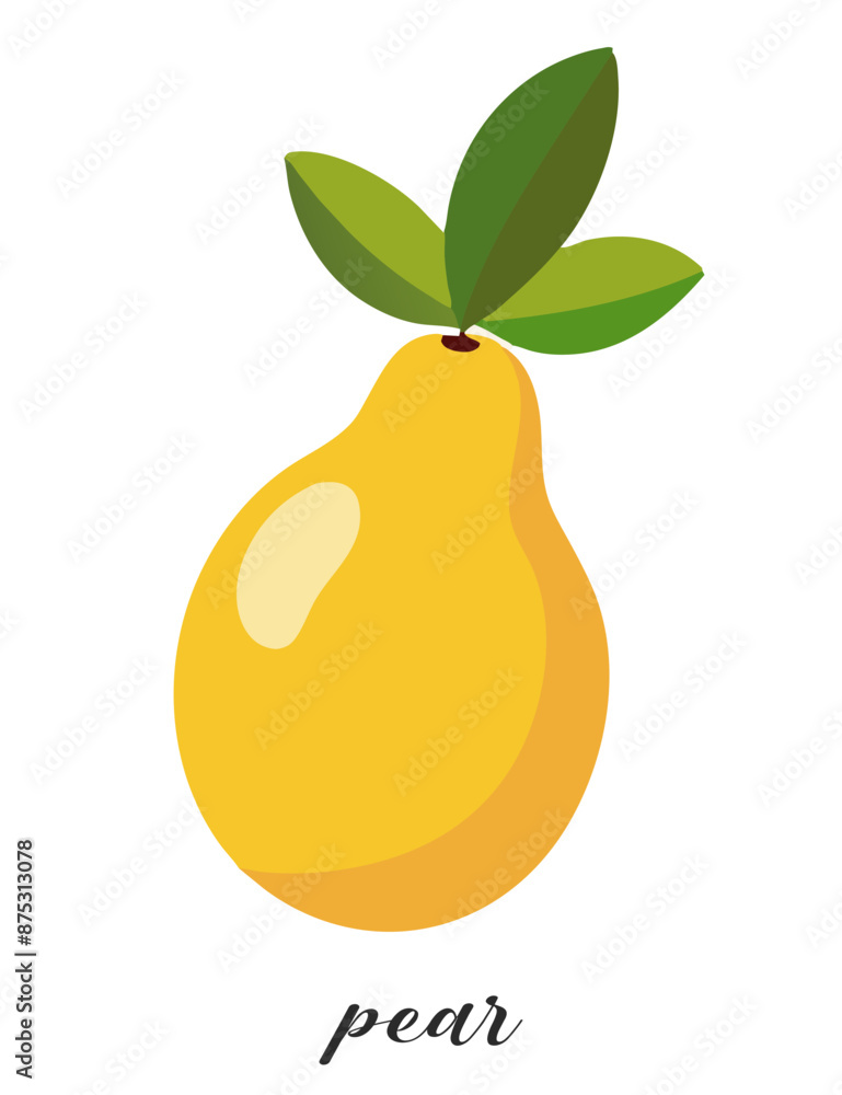 Illustration of pear isolated on white background. Summer fruit. Illustration of pear isolated on white background. Summer fruit.