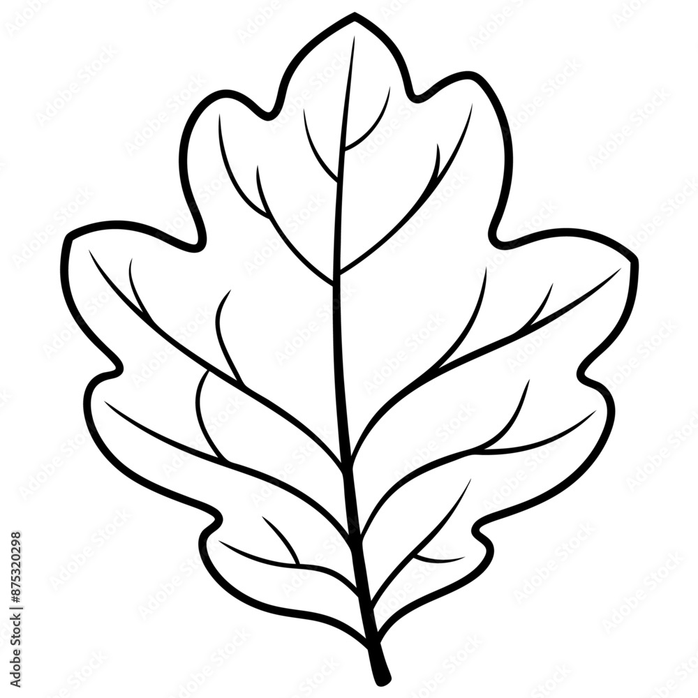 oak leaf outline coloring book page line art illustration digital drawing oak leaf outline coloring book page line art illustration digital drawing