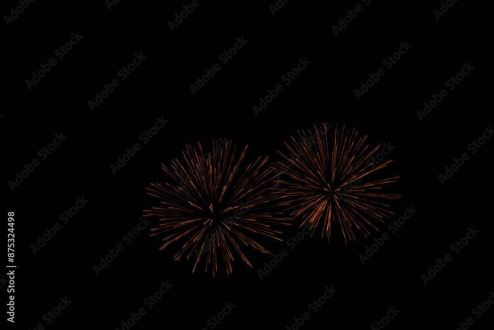 Bright multi-coloured fireworks on the black sky background. Fireworks competition in Montreal. Firework shot with selective focus and copy space. Flower-like fireworks on the sky. Bright multi-coloured fireworks on the black sky background. Fireworks competition in Montreal. Firework shot with selective focus and copy space. Flower-like fireworks on the sky.