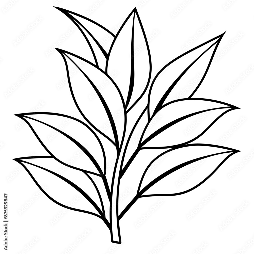 plant outline coloring book page line art illustration digital drawing plant outline coloring book page line art illustration digital drawing
