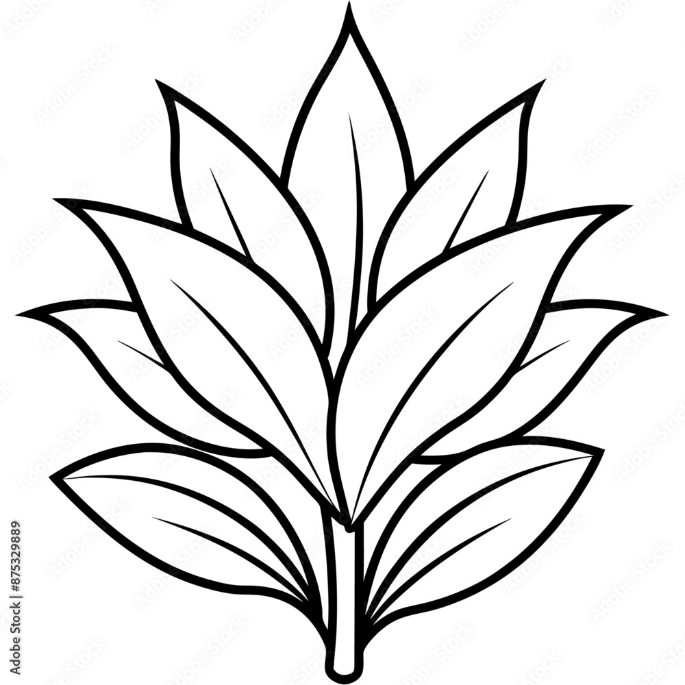plant outline coloring book page line art illustration digital drawing