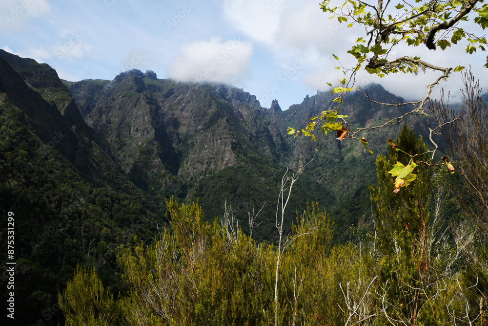 view of the mountains from the Balcoes viewpoint (Madeira, Ribeiro Frio, Portugal) view of the mountains from the Balcoes viewpoint (Madeira, Ribeiro Frio, Portugal)