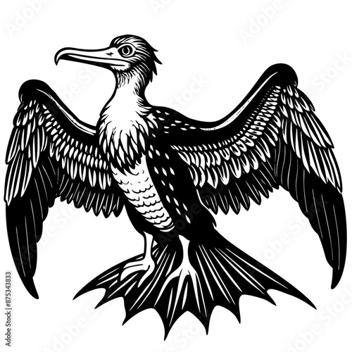 Frigatebird Vector for various uses