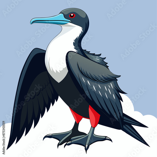 Frigatebird Vector for various uses