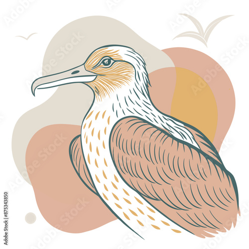 Frigatebird Vector for various uses