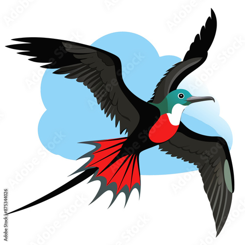 Frigatebird Vector for various uses