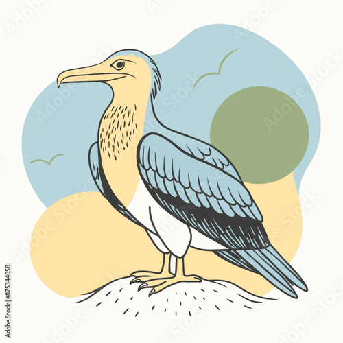 Frigatebird Vector for various uses