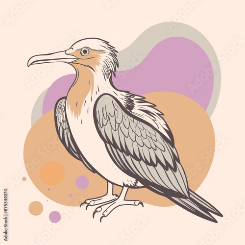 Frigatebird Vector for various uses