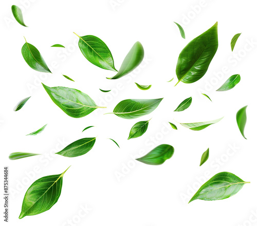Flying fresh green leaves, cut out