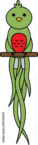 Illustration of a Long-tailed Quetzal viewed from the front on a branch