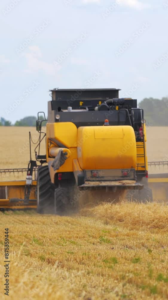 Combine harvesting a ripe field. New combine harvester working on a wheat field. Yellow harvester machine collecting the ears of wheat. Yellow field with crop. Back view. Vertical video Combine harvesting a ripe field. New combine harvester working on a wheat field. Yellow harvester machine collecting the ears of wheat. Yellow field with crop. Back view. Vertical video