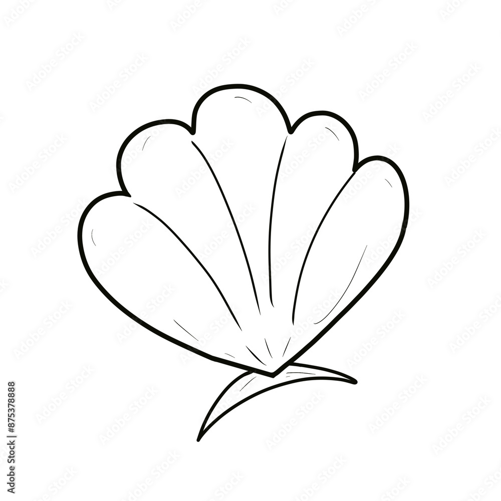 illustration of a shell illustration of a shell