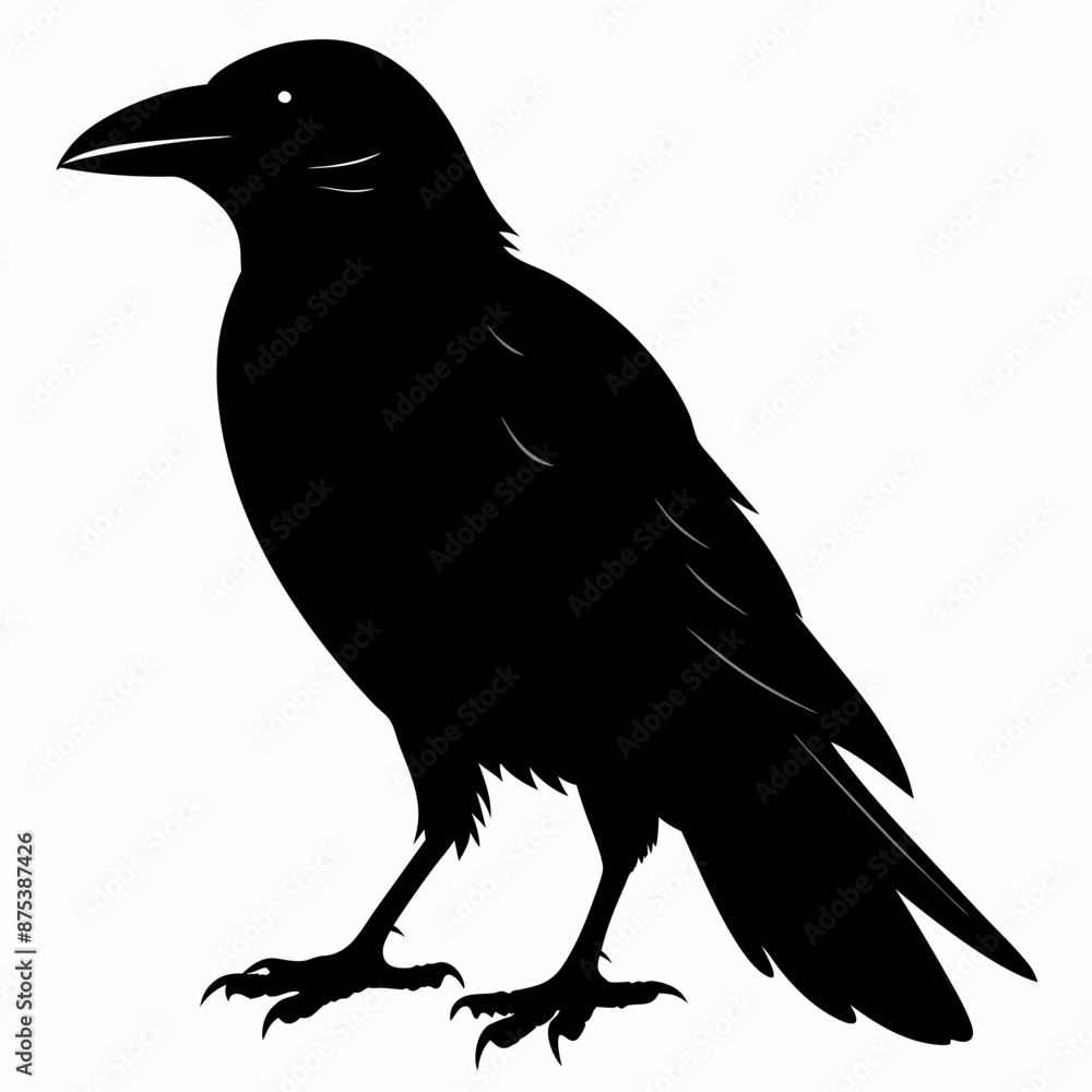 Crow black silhouette Crow black silhouette