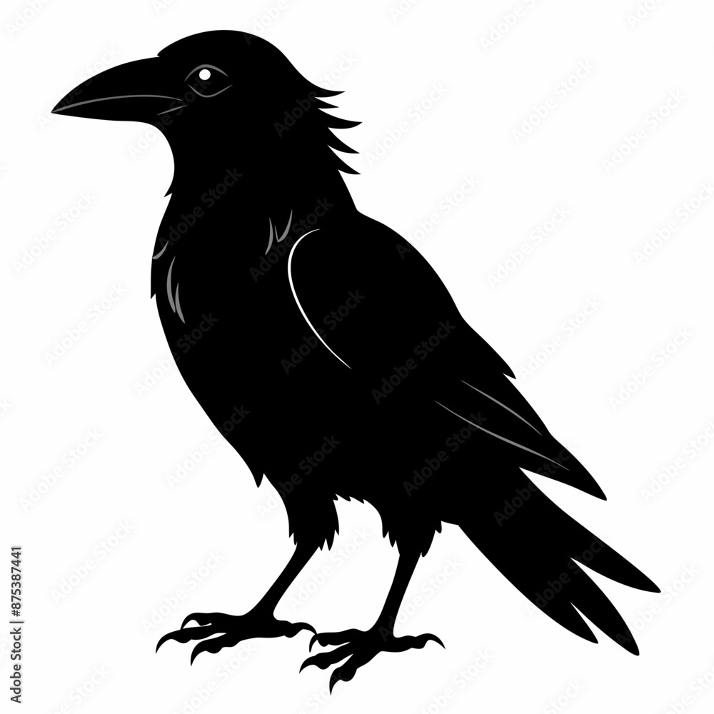 Fototapeta premium Crow black silhouette