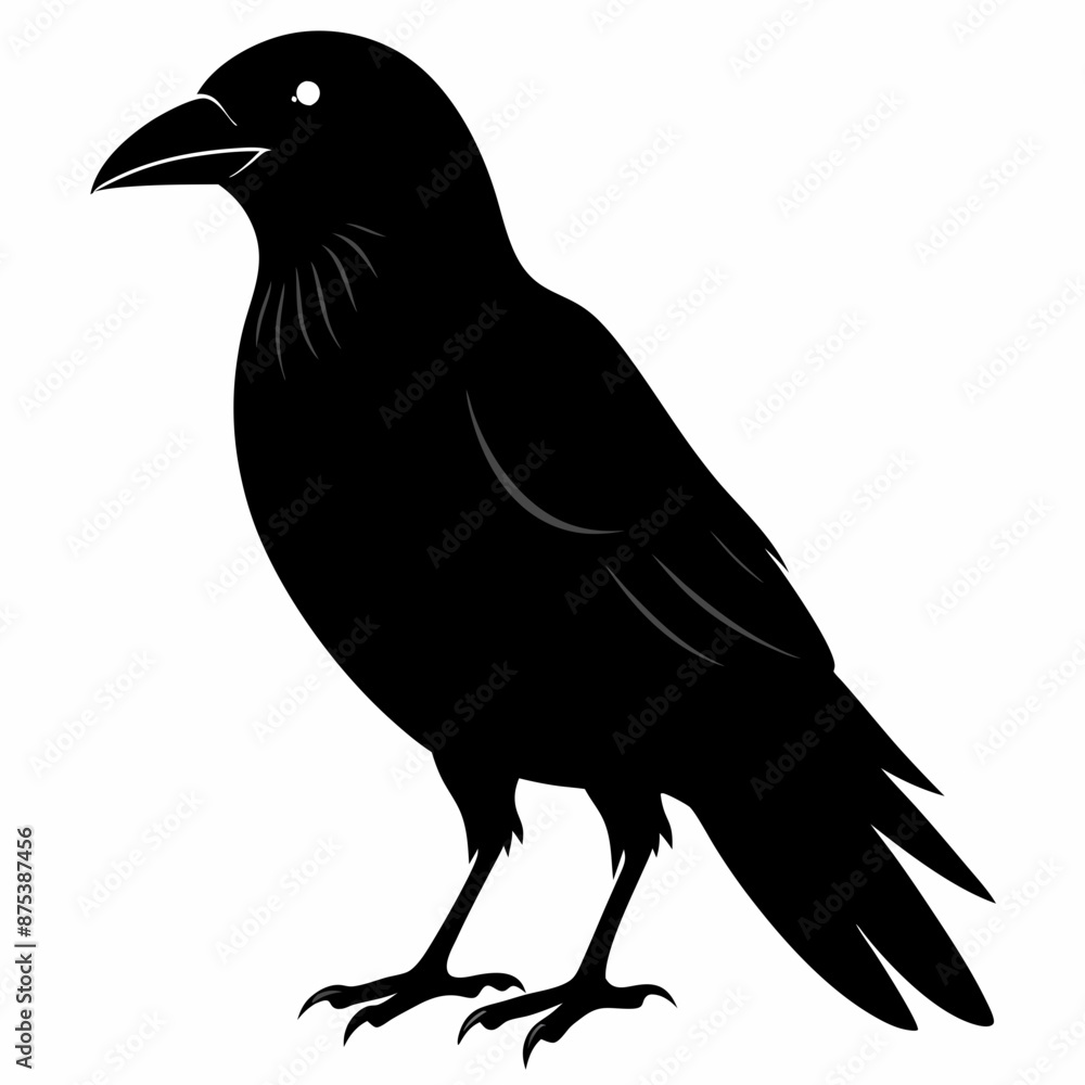 Obraz premium Crow black silhouette