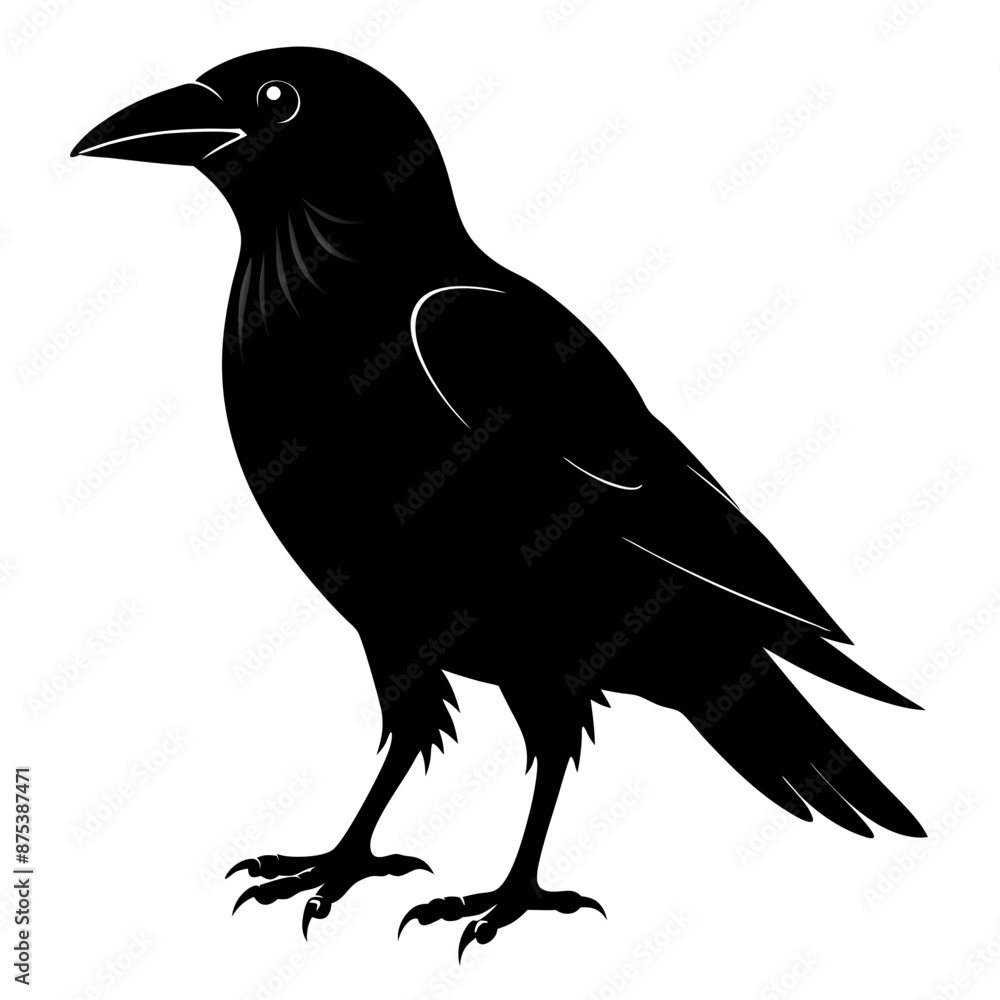 Obraz premium Crow black silhouette