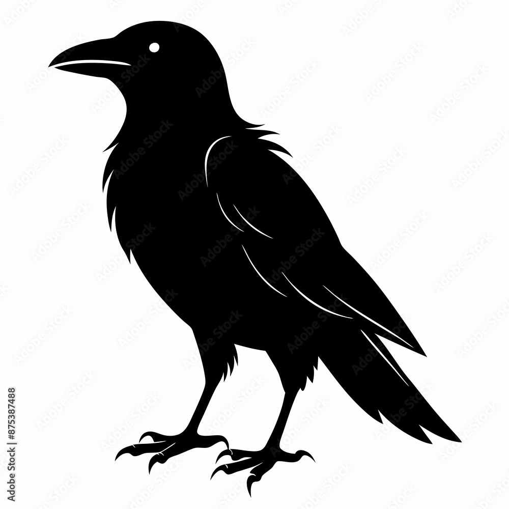 Crow black silhouette Crow black silhouette