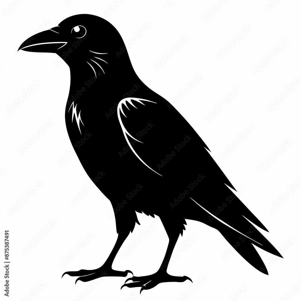 Obraz premium Crow black silhouette