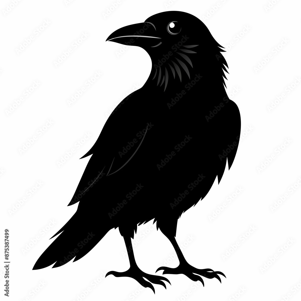 Crow black silhouette Crow black silhouette