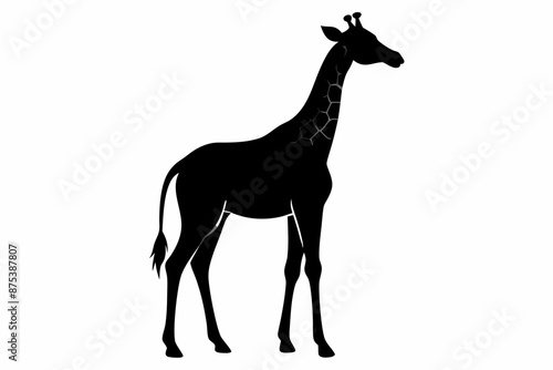 giraffe silhouette, giraffe vector silhouettes isolated on a white background, Wild animals silhouette, giraffe  © Trendy Design24