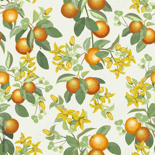 Branches with oranges and flowers.Color vector pattern with blossoming branches of oranges.