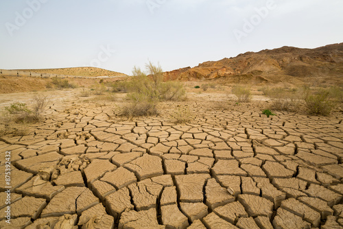 View of the Kyzylkum desert photo