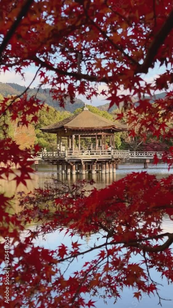 The intense colors of Nara., Japan during autumn The intense colors of Nara., Japan during autumn