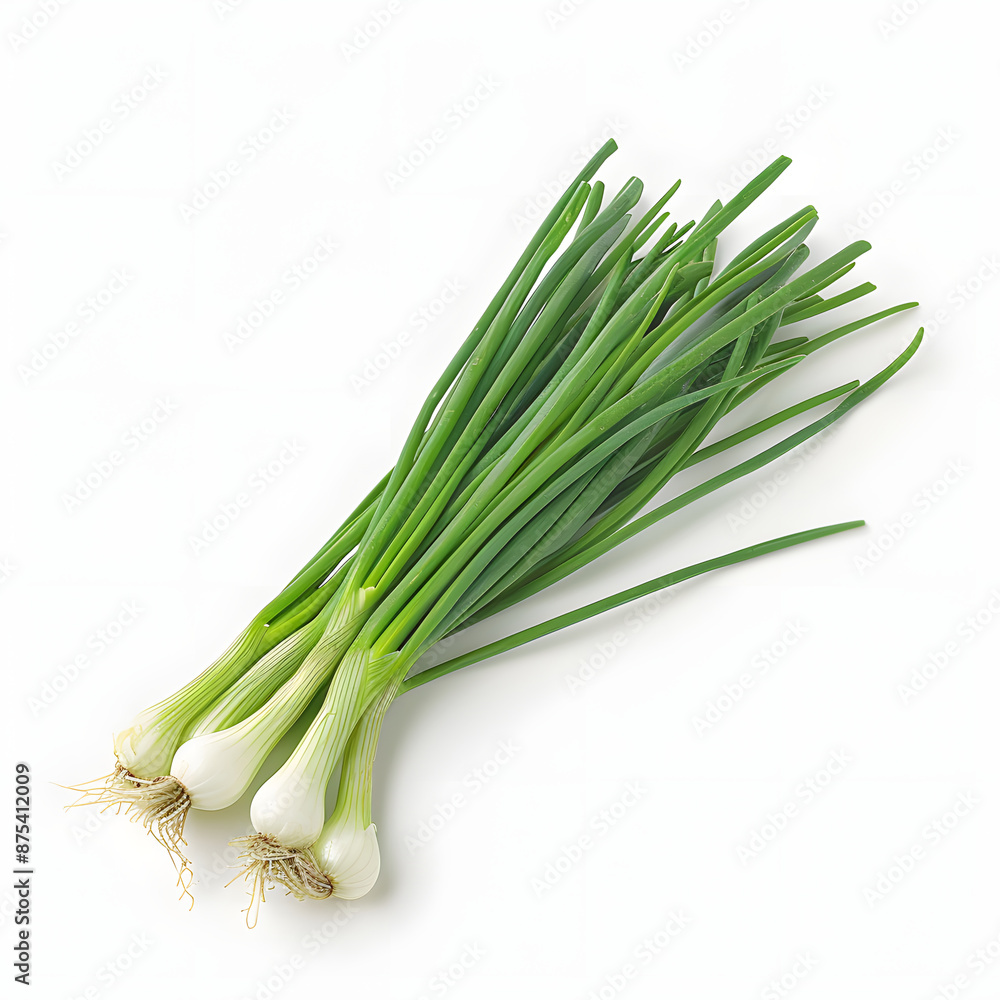 Green japanese bunching onion isolated on white background Green japanese bunching onion isolated on white background