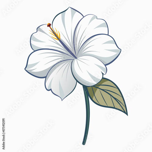 hebiscus white flower thin line flat il photo