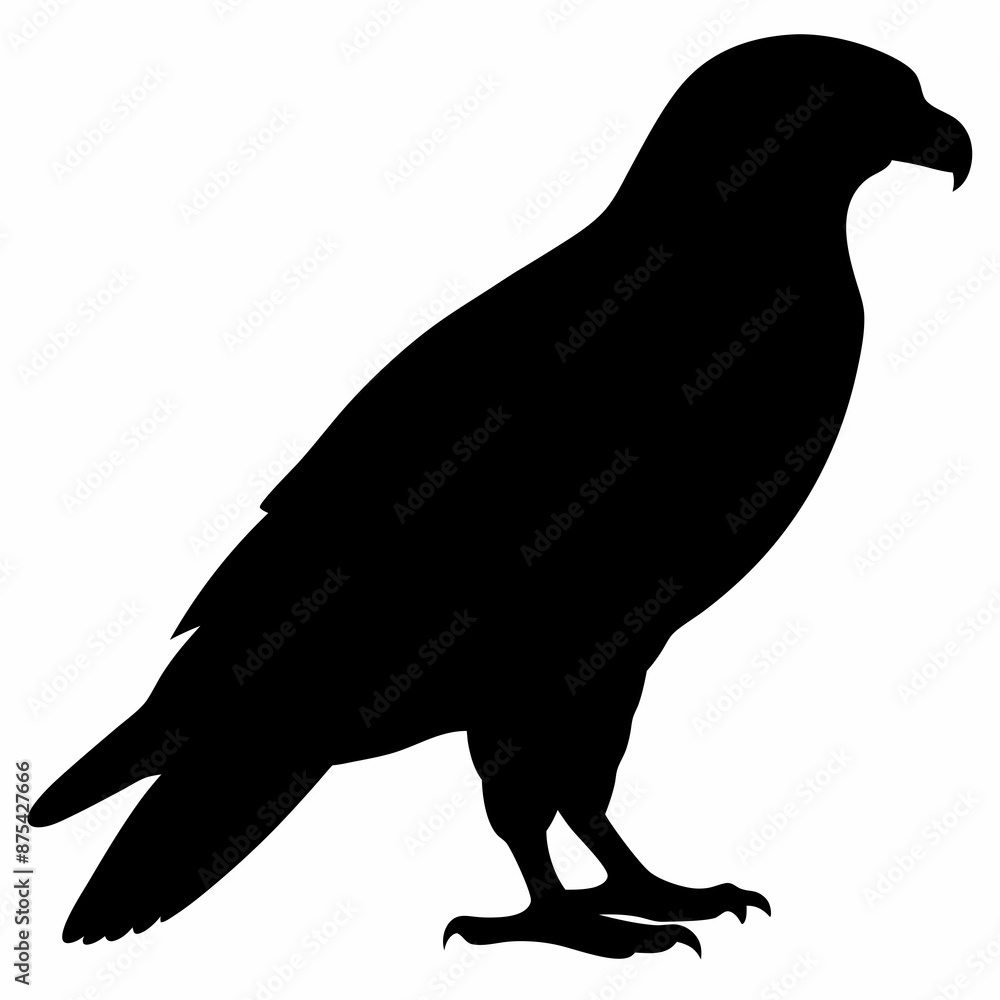 Falcon vector illustration, bird isolated on white, Falcon silhouette, Falcon vector art
Falcon vector illustration, bird isolated on white, Falcon silhouette, Falcon vector art