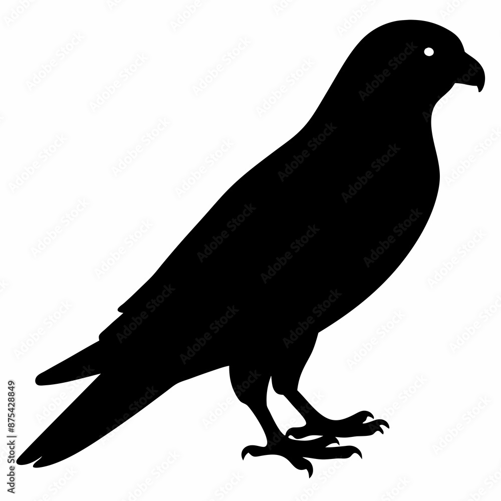 Fototapeta premium Kestrel vector illustration, bird isolated on white, Kestrel silhouette, Kestrel vector art