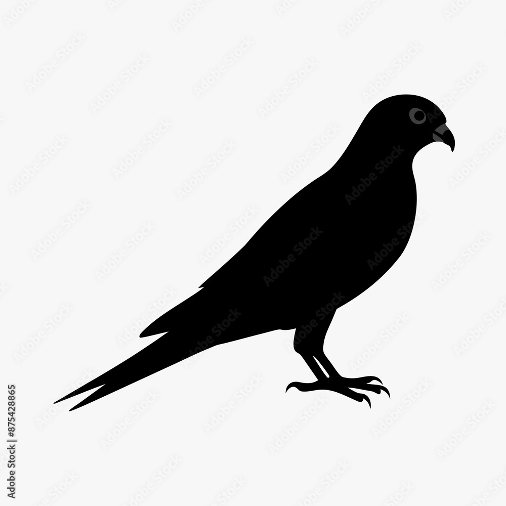 Kestrel vector illustration, bird isolated on white, Kestrel silhouette, Kestrel vector art Kestrel vector illustration, bird isolated on white, Kestrel silhouette, Kestrel vector art