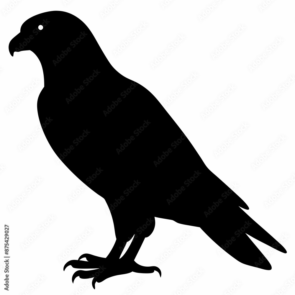 Fototapeta premium Kestrel vector illustration, bird isolated on white, Kestrel silhouette, Kestrel vector art