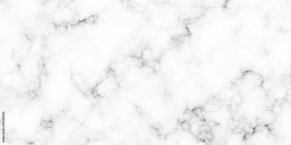 White limestone marble smooth exterior interior surface natural tile. Marble with high resolution. Modern White and black marble texture for wall and floor tile wallpaper luxurious background.
White limestone marble smooth exterior interior surface natural tile. Marble with high resolution. Modern White and black marble texture for wall and floor tile wallpaper luxurious background.