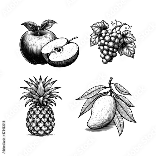 apple, grape, pineapple, mango - line drawing sketch