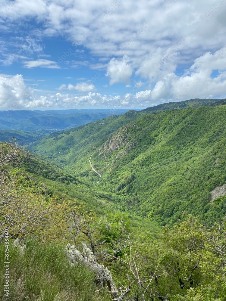Vallée dans les Cévennes Vallée dans les Cévennes